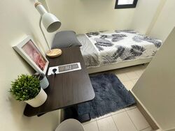 East Meadows (D16), Condominium #513821181